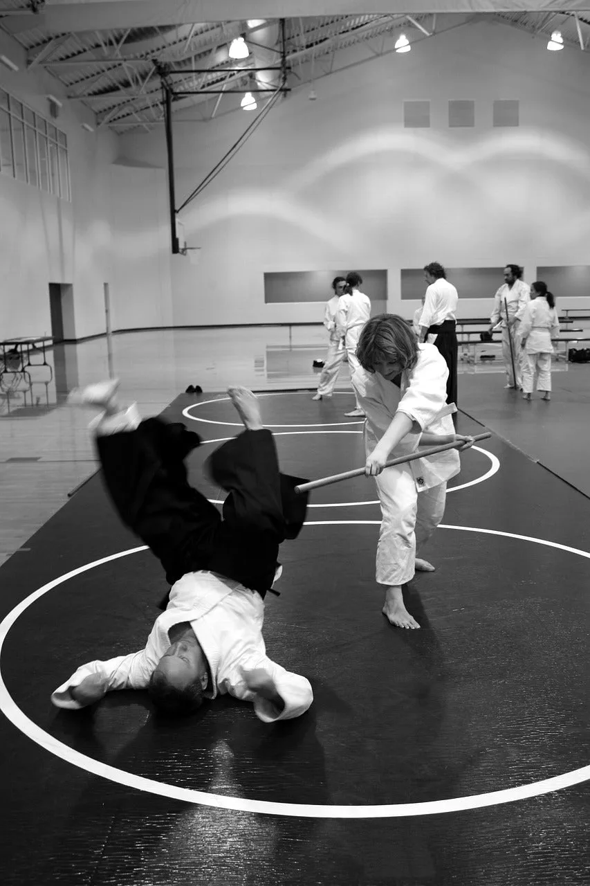 Aikido Martial Arts Style